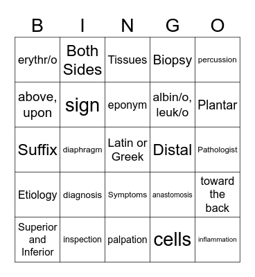 Module 1 Test Review Bingo Card