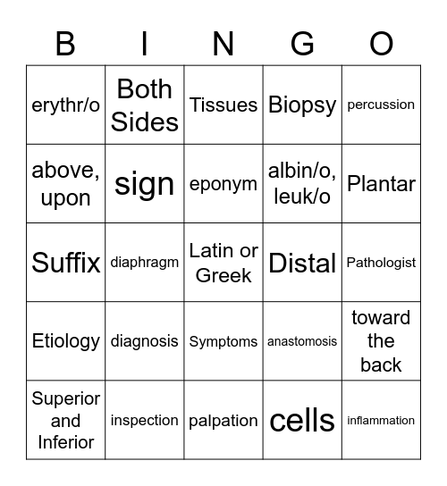Module 1 Test Review Bingo Card