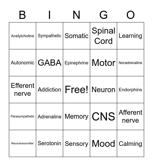 Neurotransmitters Bingo Card