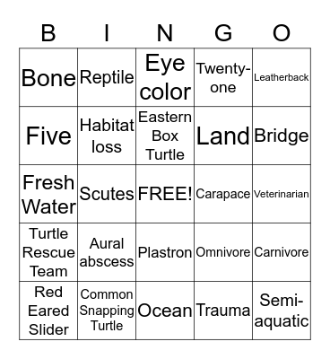 Turtle Rescue Team Bingo Card