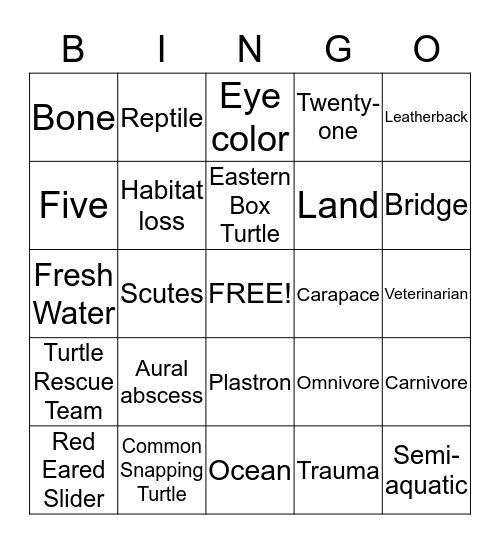 Turtle Rescue Team Bingo Card