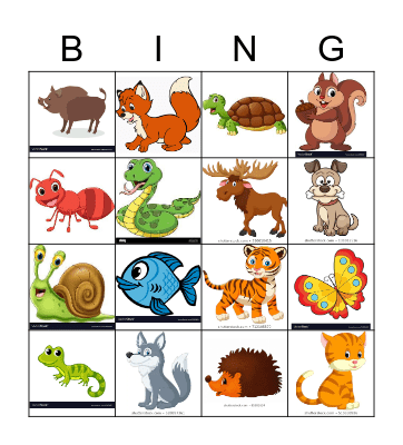 Animals Unit 4 Bingo Card