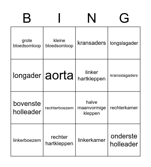 Het hart & grote bloedvaten Bingo Card