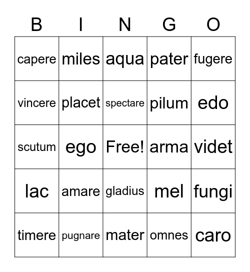 Unit 4 Vocabulary Bingo Card