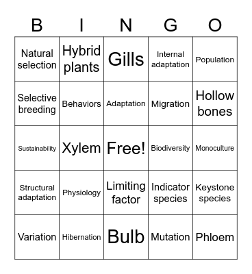 Vocabulary: 7.11C, 7.10B, & 7.12A Bingo Card