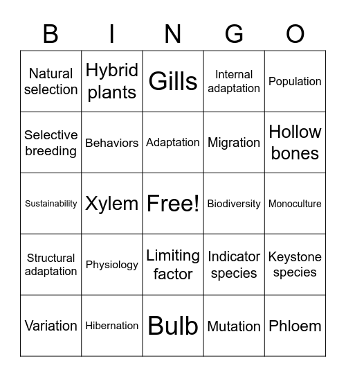 Vocabulary: 7.11C, 7.10B, & 7.12A Bingo Card