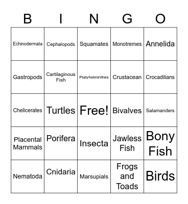 Animal Bingo Card