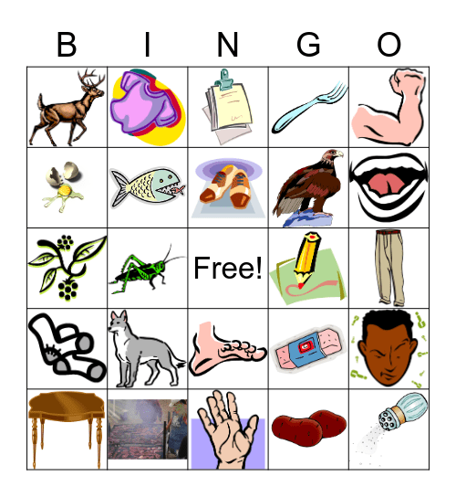 Hidatsa Bingo 1 Bingo Card