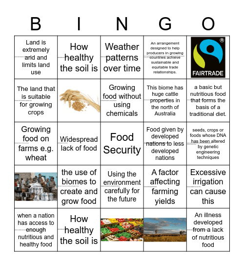 Food Security DJ Bingo Card