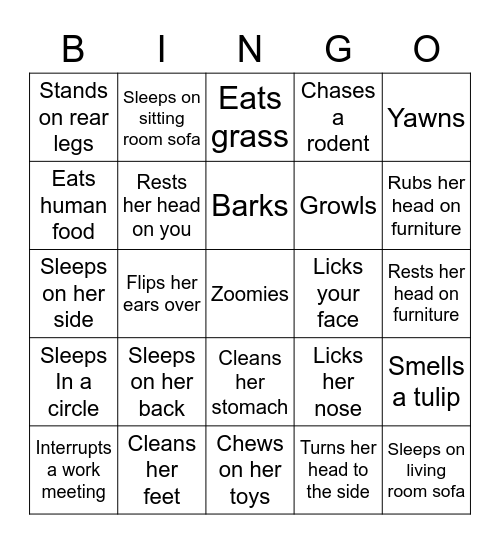 Amber Bingo Card