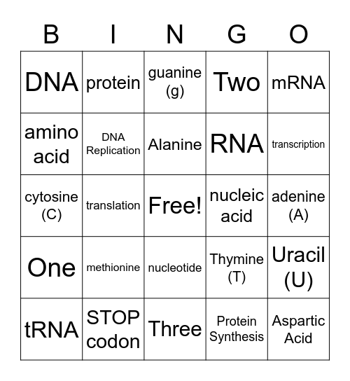 DNA Replication and Protein Synthesis Bingo Card