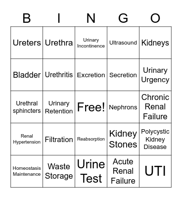 Urinary System Bingo Card
