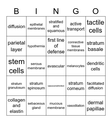 Integumentary System Bingo Card