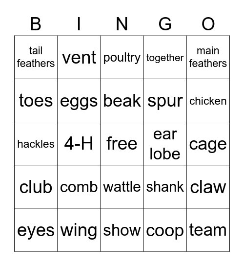 4-H Poultry BINGO!! Bingo Card