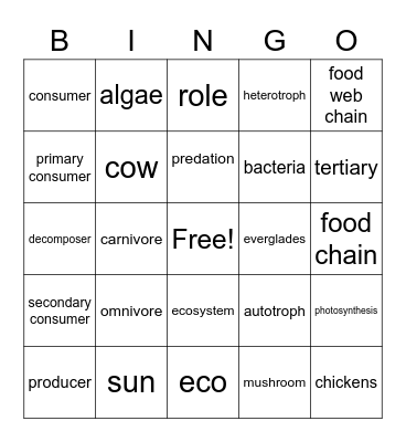 Johnson Energy Bingo Card