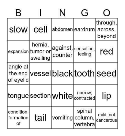 Medical Terminology Bingo Card