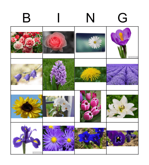 Blumen Bingo Card