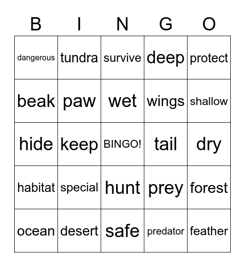 vocabulary Bingo Card