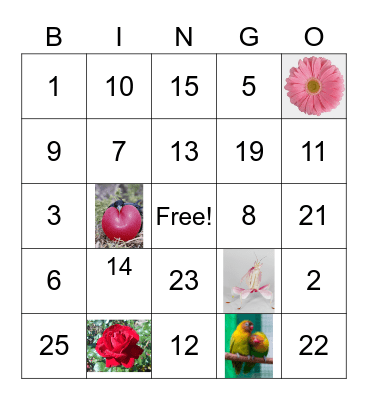 Valentines Day Bingo Card