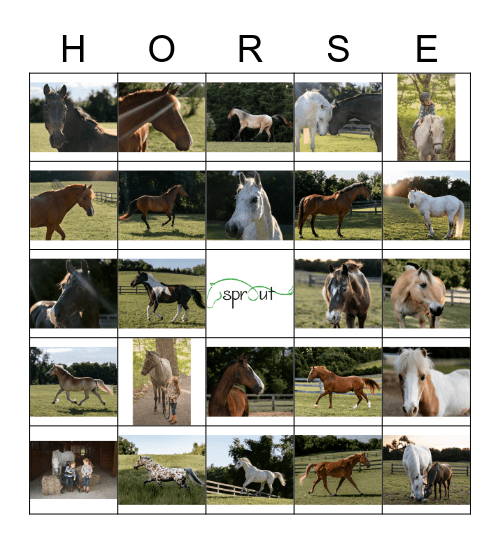 Sprout Horses 2 Bingo Card