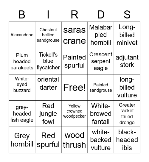 Bird bingo Card