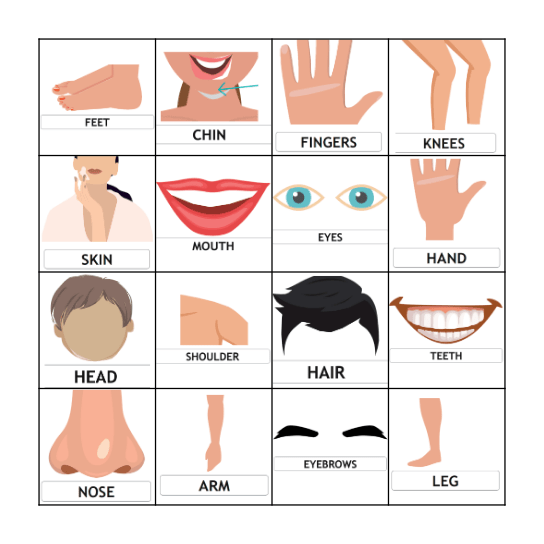 Parts of the Body Bingo Card