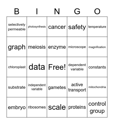 Benchmark #1 Bingo Card