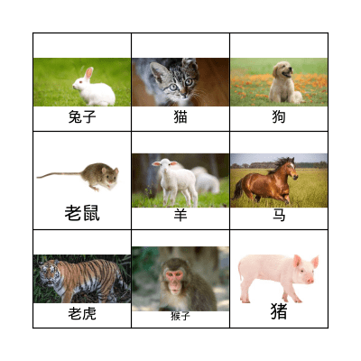 Animals Bingo Card