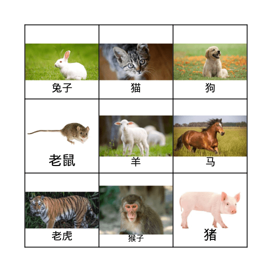 Animals Bingo Card