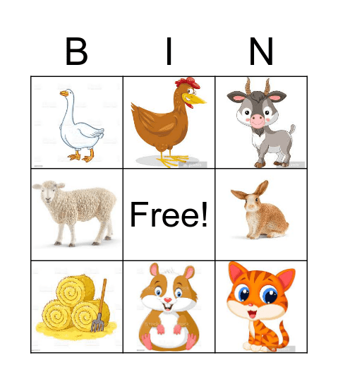 Dierenbingo Card