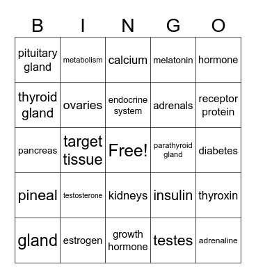 Endocrine System Bingo Card