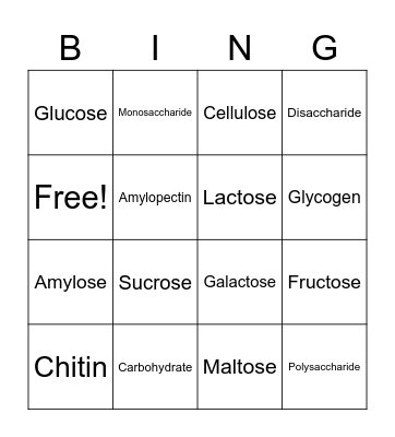 Vocabulary Bingo Card