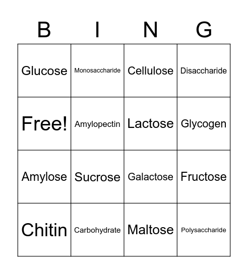 Vocabulary Bingo Card