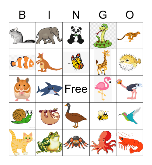 Animal Trivia Bingo Card