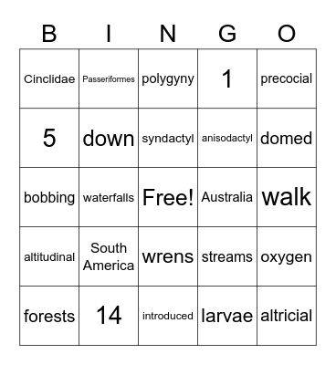 Cinclidae Bingo Card