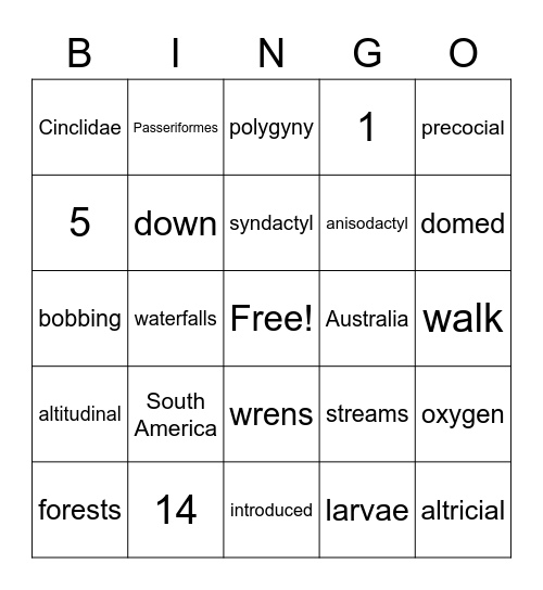 Cinclidae Bingo Card