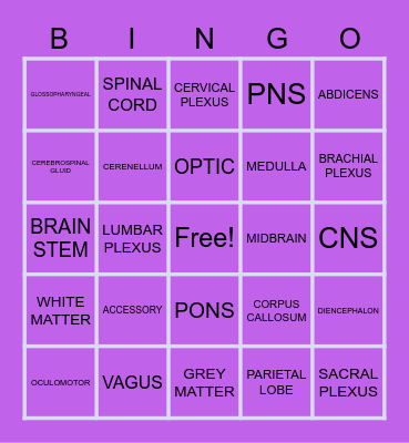 NERVOUS SYSTEM Bingo Card