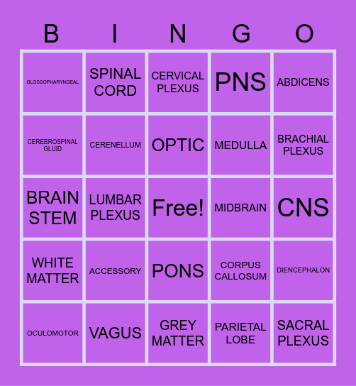 NERVOUS SYSTEM Bingo Card