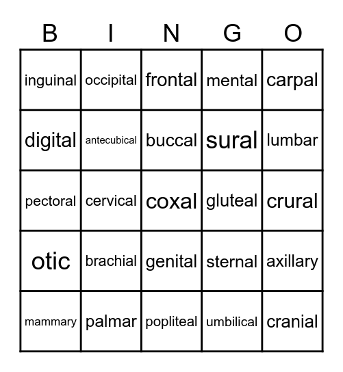 Body Regions Bingo Card