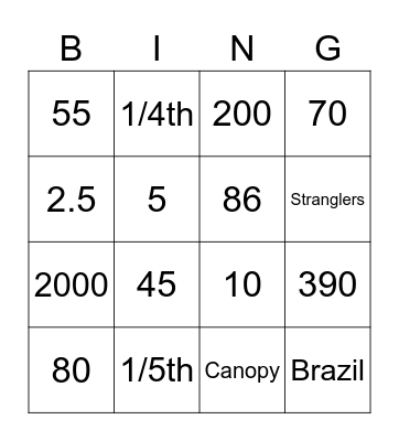 Rainforest Bingo by Mikey and Sarah Bingo Card