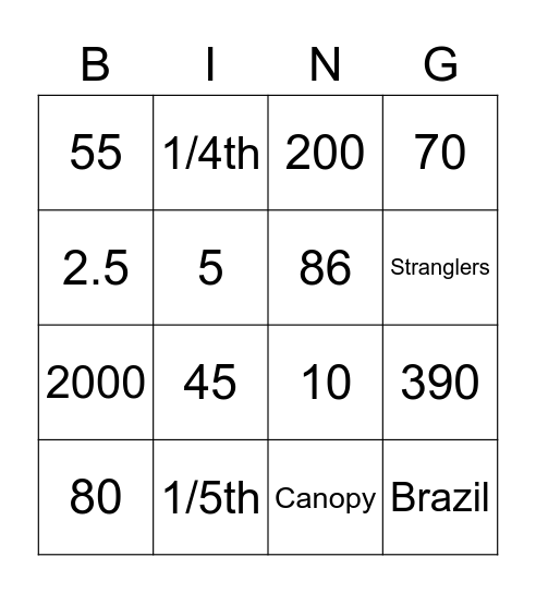 Rainforest Bingo by Mikey and Sarah Bingo Card