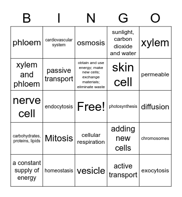 Science Lesson 5 Bingo Card
