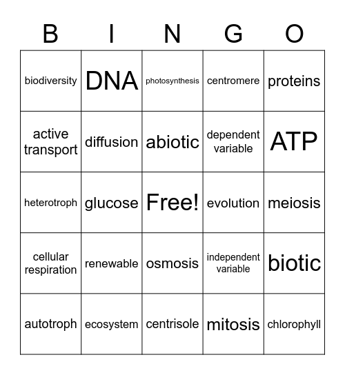 LE Vocab #2 Bingo Card