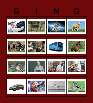 Farm animals, transports and jobs Bingo Card