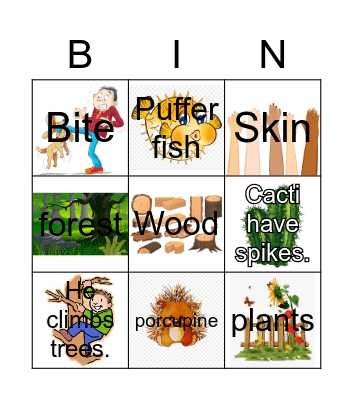 Porcupine Bingo Card