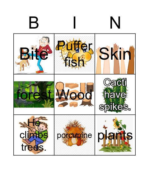 Porcupine Bingo Card