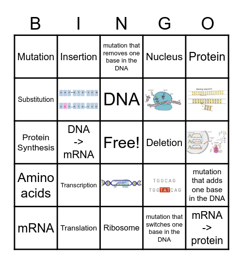 Protein Synthesis and Mutations Bingo Card