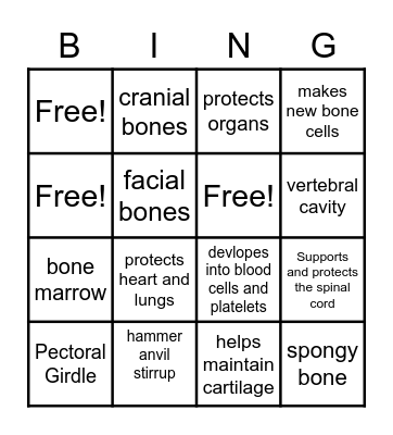 Skeletal System Bingo Card