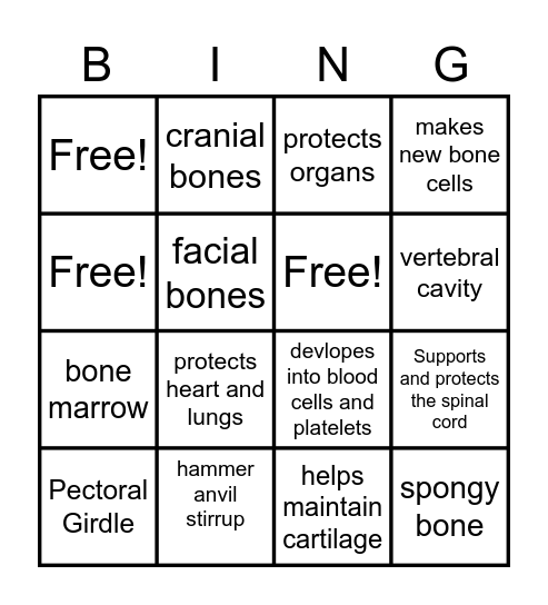 Skeletal System Bingo Card