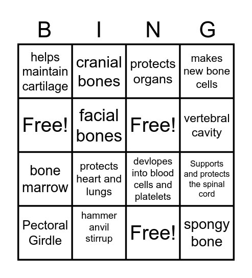 Skeletal System Bingo Card